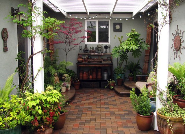 Indoor_gardening_