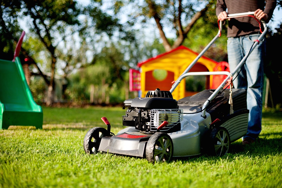 The best lawn mower to own