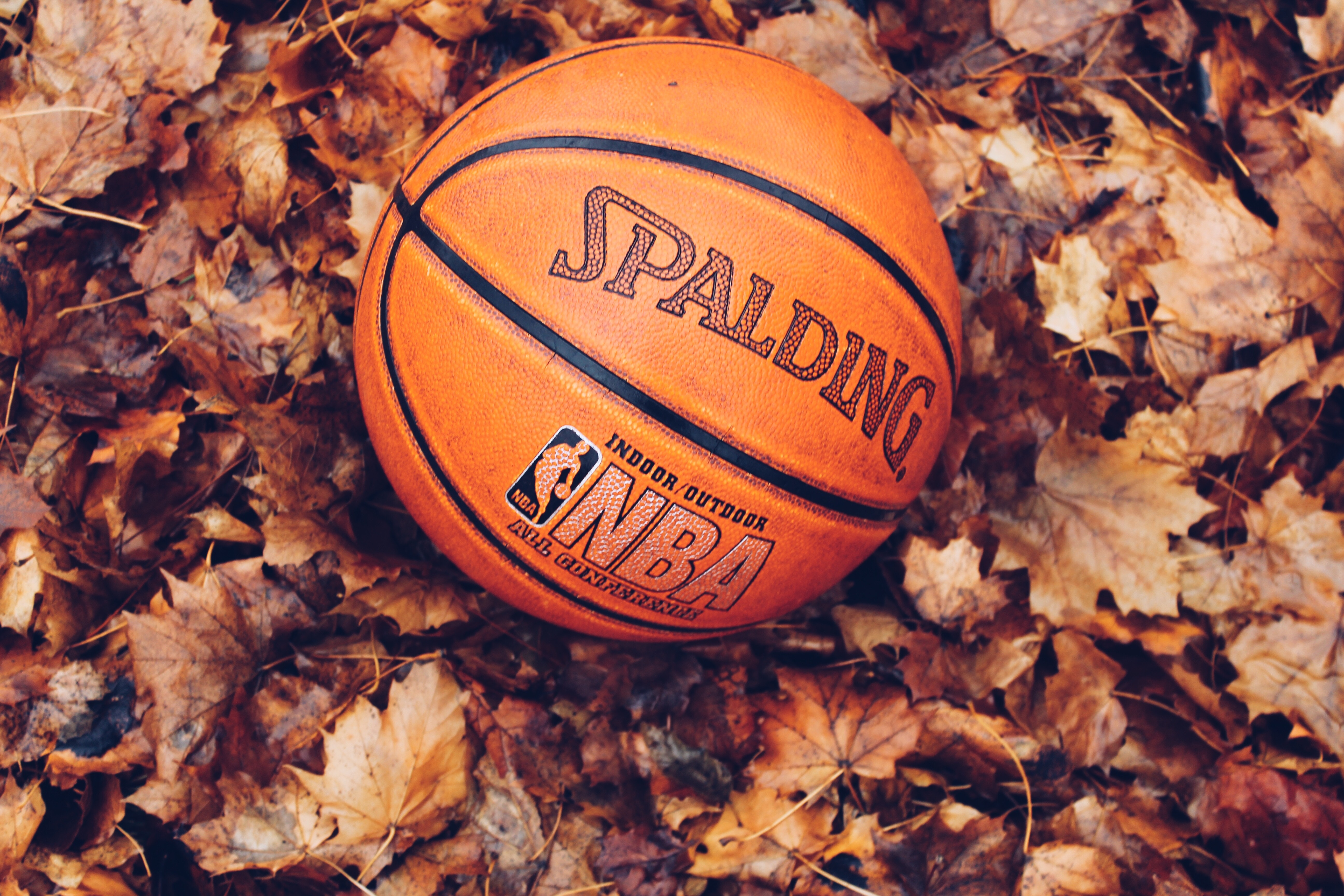 tj-dragotta-529630-unsplash